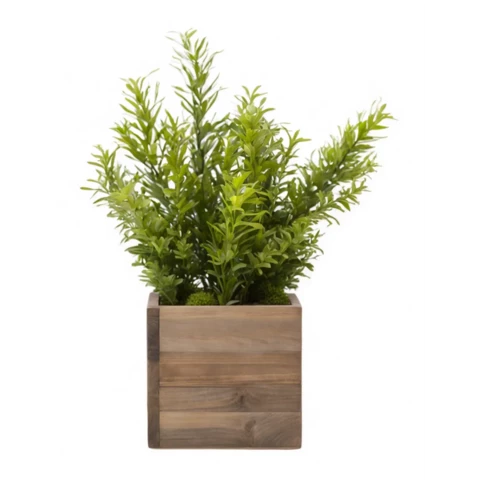 Кашпо с искусственным Кроссостефиумом №16, В26*Д15*Ш15