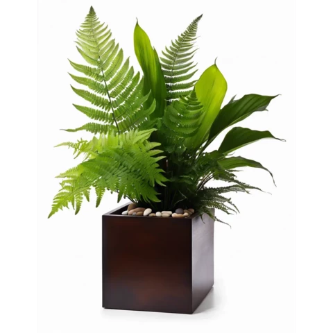 Искусственные растения 