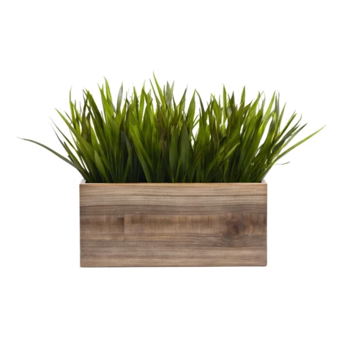 Осока искусственная в кашпо №31, В25*Д30*Ш15