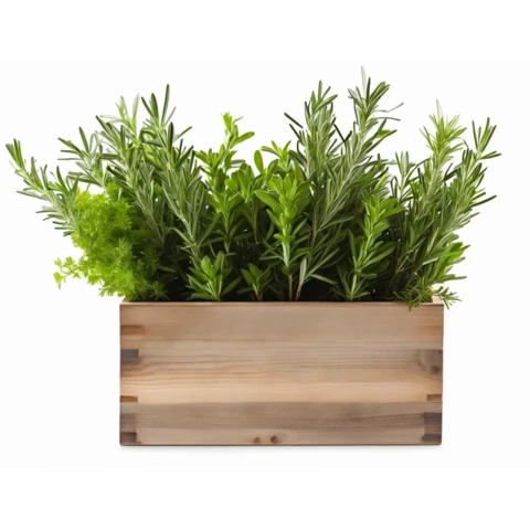 Кашпо с искусственным Кроссостефиумом №32, В25*Д30*Ш15