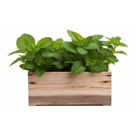 Кашпо с искусственной мятой №33, В20*Д30*Ш15