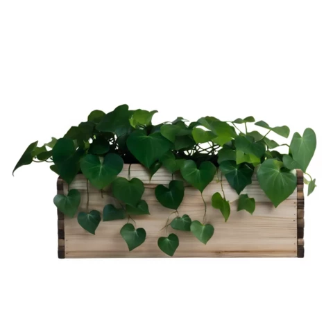 Хедера искусственная в кашпо №34, В15*Д50*Ш15