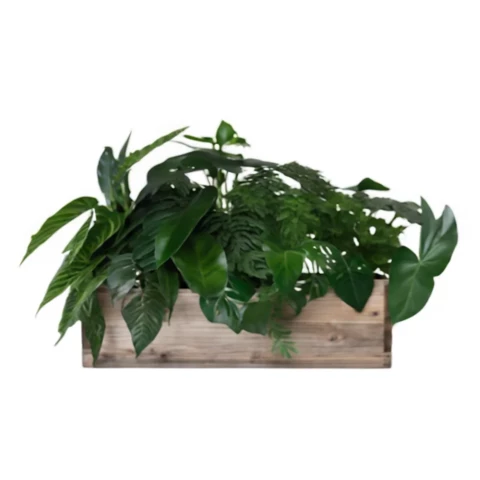 Растения искусственные в кашпо Микс №35, В25*Д50*Ш15