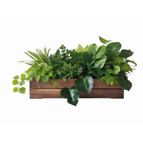 Растения искусственные в кашпо Микс №42, В35*Д50*Ш15