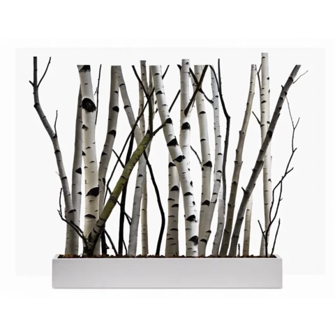 Стволы Берёзы в кашпо №299, В250*Д30*Ш200