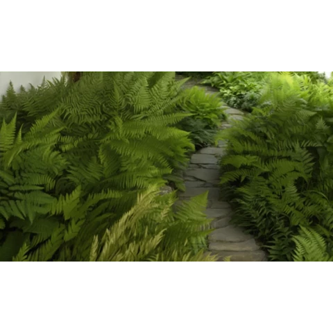 Оазис 3D из искусственного папоротника 30 см №303, В30*Д300*Ш50