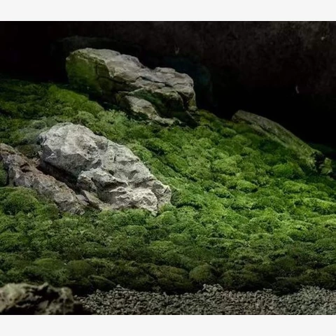 Оазис 3D Композиция из искусственного мха в японском стиле с натуральными камнями. №306, В40*Д200*Ш200