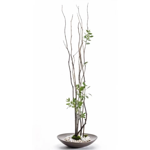 Ветки дерева с листьями. В 150