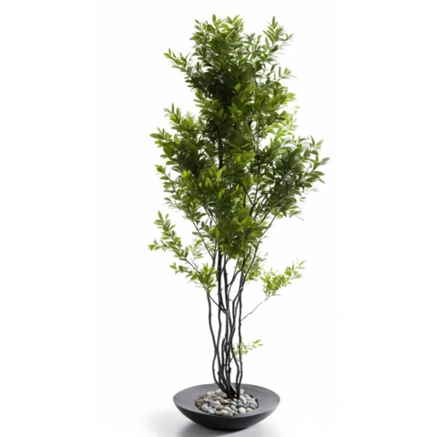 Ветки дерева с листьями. В 200