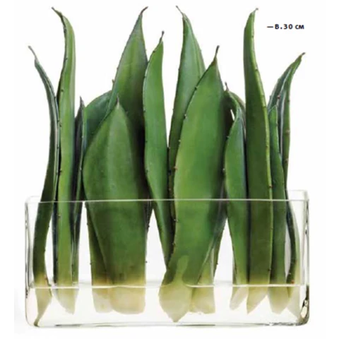 Листья Алоэ в стеклянной вазе, 30*30*9