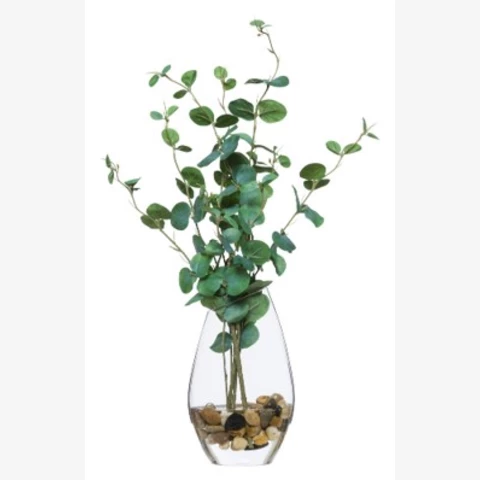 Эвкалипт в стеклянной вазе , В 40