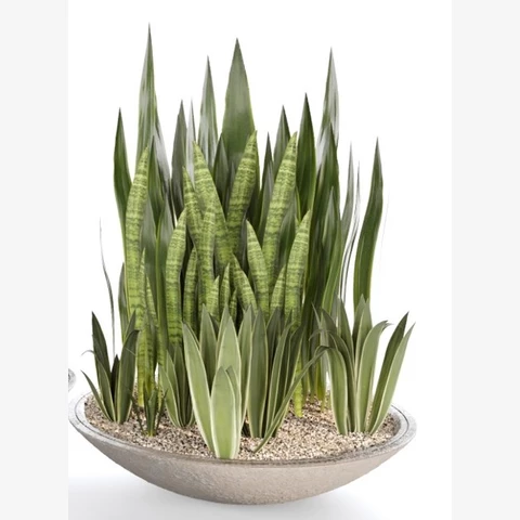 Декор напольный 