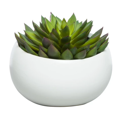Искусственные суккуленты в керамической вазе 