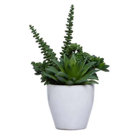 Искусственные суккуленты в керамической вазе 