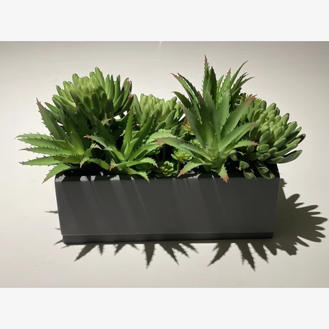 Кашпо с искусственными суккулентами В 15
Д 22
 Ш 6