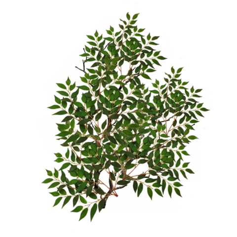 Имитация кроны дерева. Рябина, Д100 Ш100