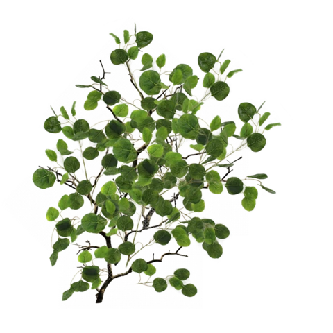 Имитация кроны дерева. Эвкалипт, Д100 Ш100