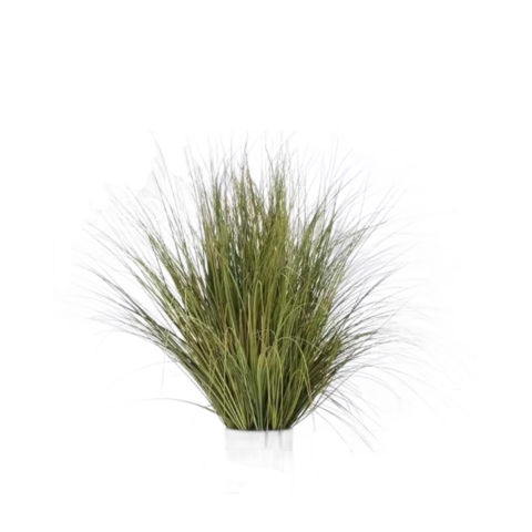 Осока в кашпо 110 см