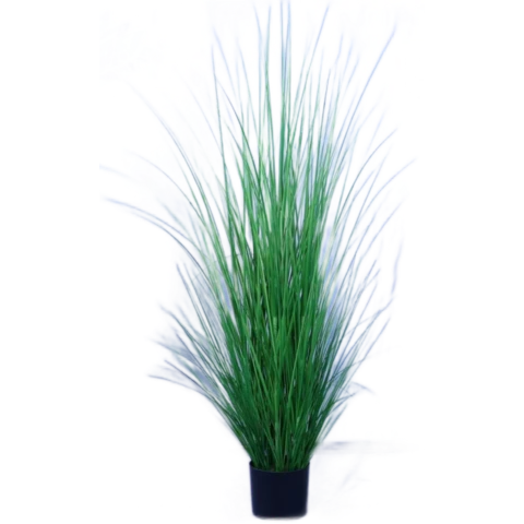 Осока в кашпо 150 см