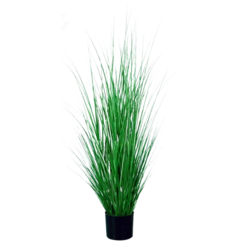 Осока в кашпо 180 см