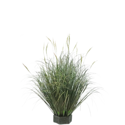 Лисохвост 60 см