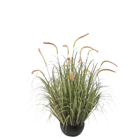 Лисохвост 91 см