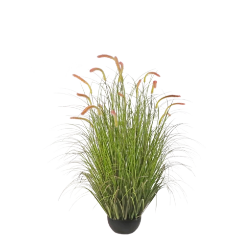 Лисохвост 120 см