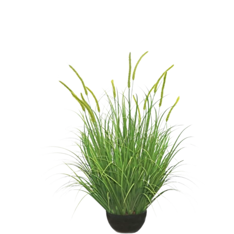 Лисохвост 90 см