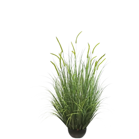 Лисохвост 121 см