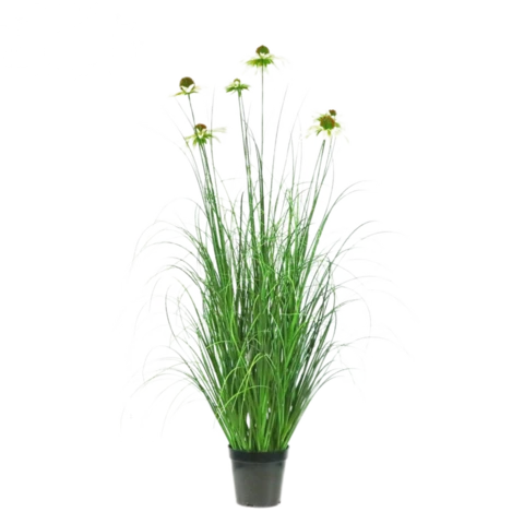 Георгин в осоке 90 см