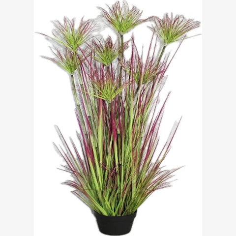 Папирус 149 см