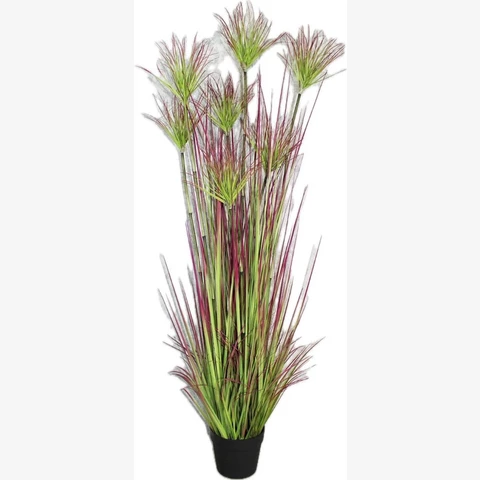 Папирус зелено-фиолетовый, 150 см