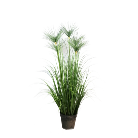 Папирус 120 см