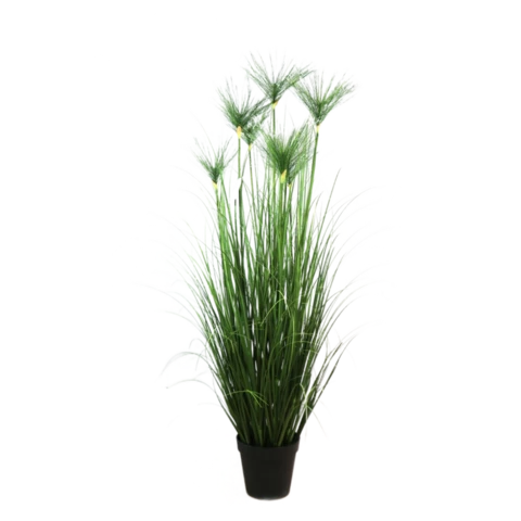 Папирус 150 см