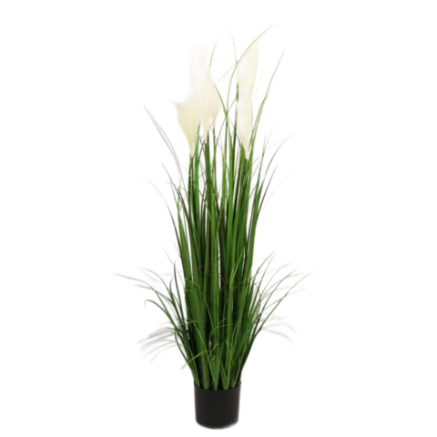 Пампасная трава 120 см