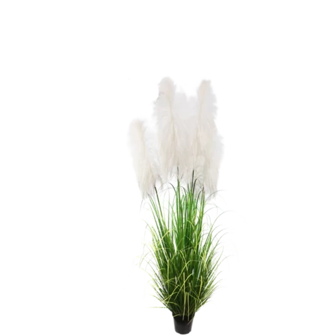 Пампасная трава 150 см