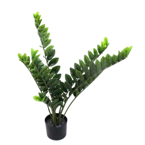 Замиокулькас 110 см