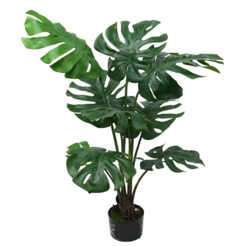 Монстера 100 см