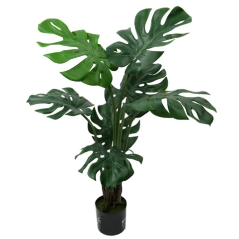 Монстера кустовая 120 см