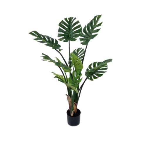 Монстера 130 см