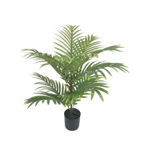 Пальма Арека 65 см