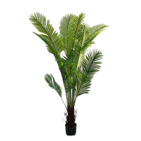 Пальма Арека 170 см