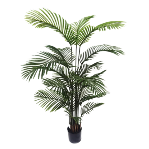 Пальма Арека 180 см