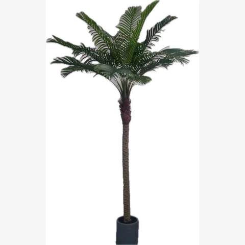 Пальма Кокосовая 240 см