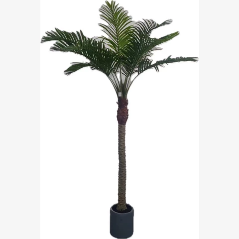 Пальма Кокосовая 280 см