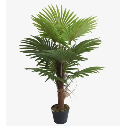 Пальма Вашингтония 130 см