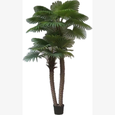 Пальма Вашингтония 270 см