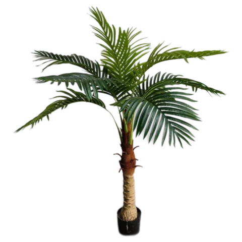 Пальма Арека160 см