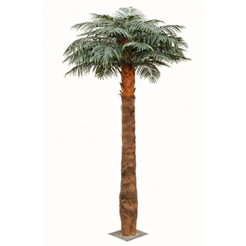 Пальма Арека300 см
