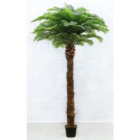 Пальма Арека XXl 350 см